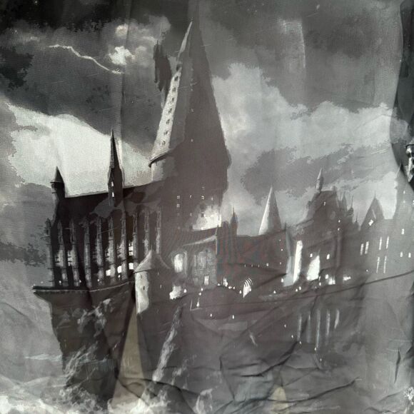 Torrid Harry Potter Hogwarts Castle Black Sheer Top Size 3 Halloween Magic - Picture 7 of 10